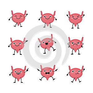 Cute bladder organs character set  in a flat cartoon style. Human organs person with the different emotions