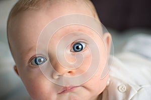 Cute baby with big blue eyes, baby looking at camera, closeup portrait of face