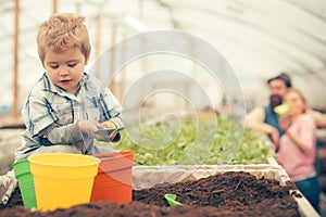 Cute blond baby boy playing in greenhouse while his parents stand further away.