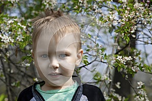 Cute blond baby boy smiling in the middle of cherry blossom park.