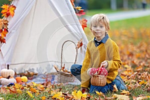 Cute blond child, boy, playing with knitted toys in the park, autumntime
