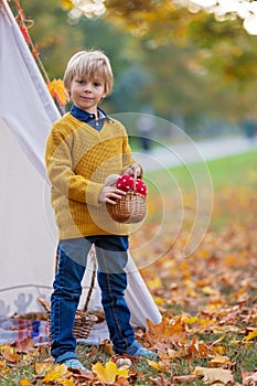 Cute blond child, boy, playing with knitted toys in the park, autumntime