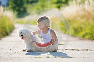Cute blond child, toddler boy and pet dog, eating watermelon in garden