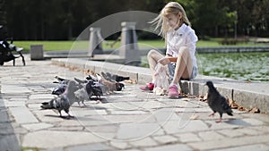 Cute blond girl feeds pigeons with bread in the park.