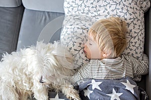 Cute blond preschool child, sleeping with white puppy pet dog