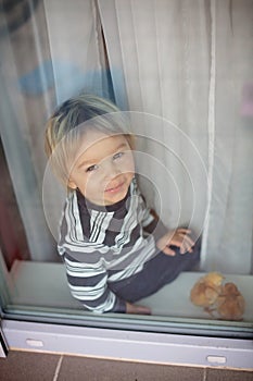 Cute blond toddler boy, playing with little chicks at home on the window, quarantine