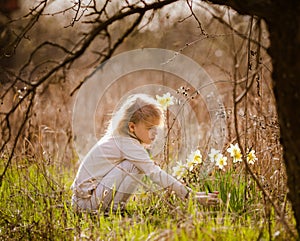 Cute blonde happy little girl with yellow daffodils in the spring country