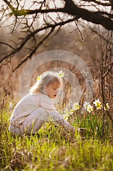 cute blonde happy little girl with yellow daffodils in the spring country