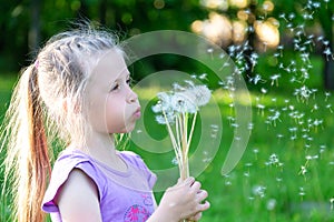 Cute blonde little girl is blowing on dandelion flowers in summer park, dandelion seeds are flying