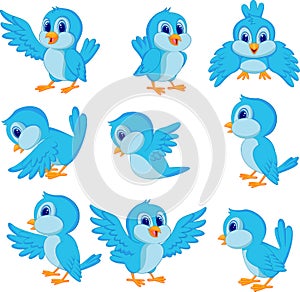 Cute blue bird cartoon