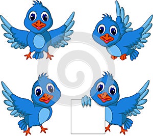 Cute blue bird cartoon collection