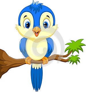 Cute blue bird cartoon on the tree branch