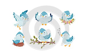 Cute Blue Bird Sitting in the Nest and Flying with Spread Wings Vector Set