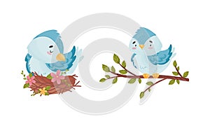 Cute Blue Bird Sitting in the Nest and on Tree Branch Vector Set photo
