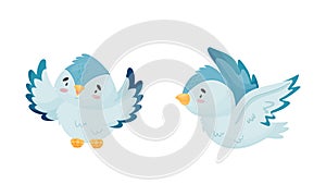 Cute Blue Bird Soaring and Perching Vector Set photo