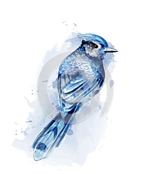 Cute blue bird watercolor Vector isolated on white. Vintage designs