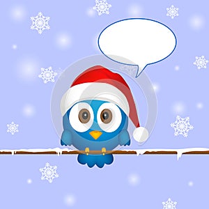 Cute blue christmas bird