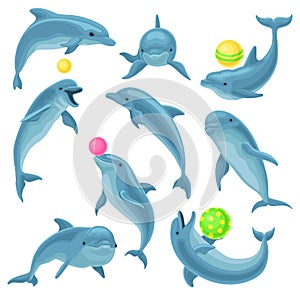 Cute blue dolphins set, dolphin jumping and performings tricks with ball for entertainment show vector Illustration on a