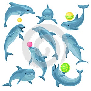 Cute blue dolphins set, dolphin jumping and performings tricks with ball for entertainment show vector Illustration on a photo