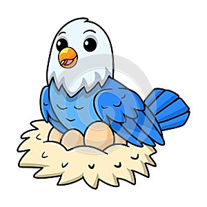 Cute blue love bird cartoon with eggs in the nest