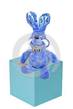 Cute blue plush bunny or rabbit with bow tie on a gift box isolated on a white background. Easter greeting card template with