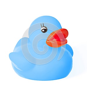 Cute blue rubber duck