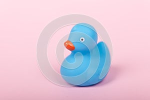 Cute blue rubber duck on pink background