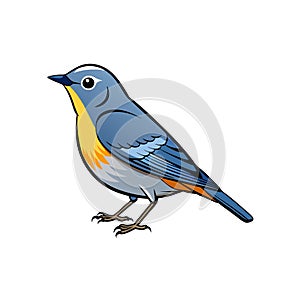 Cute Bluebird cartoon standing illustration for various digital projects photo
