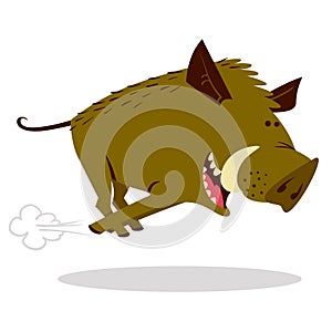 Cute boars or warthog character with acorn. Vector illustration