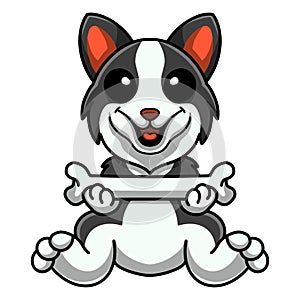 Cute border collie dog cartoon holding a bone