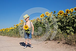 Cute boy 4-5 years old in a yellow hat and shorts with a sunflower in hands stands near field of blooming sunflowers