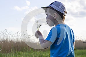 Cute boy blowing on dandelion. Child in cap and blue t-shirt blowing dandelion