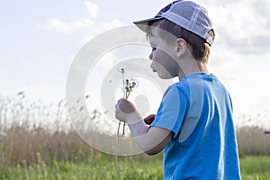 Cute boy blowing on dandelion. Child in cap and blue t-shirt blowing dandelion