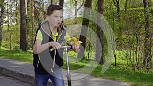 Cute boy with bouquet of flowers riding on kick scooter in park