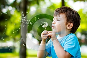 Cute boy with dandelion outdoors