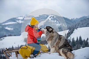 Cute boy enjoying a sleigh ride with husky dog. Child sledding, riding a sledge play outdoors in snow in winter park