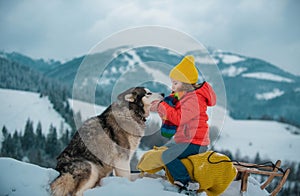 Cute boy enjoying a sleigh ride with husky dog. Child sledding, riding a sledge play outdoors in snow in winter park
