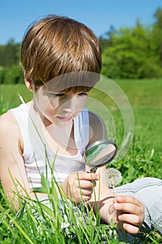 Cute Boy Examining Blossomed Flower Of Dandelion Thoroughly Through The Magnifying Glass While Sitting In The Grass
