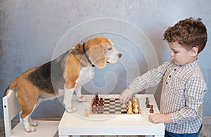 Cute boy and funny beagle dog playing chess