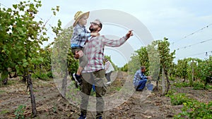 Cute boy and his dad farmer in the middle of vineyard dad take the son in hands and showing the large vineyard while