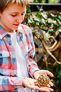 Cute boy holding baby tortoise