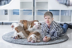 Cute boy lies on the floor on carpet with puppies of English bulldog