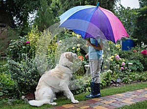 cute boy next to a white dog, holding a colorful rainbow umbrella