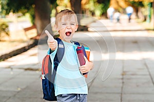 Cute boy with notebooks and backpack are ready to study. Back to school concept. Smart schoolboy holding books outdoors