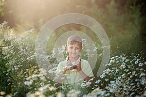 Cute boy photographer shoots on camera in nature. Kid takes a photo in the camomile flowers field