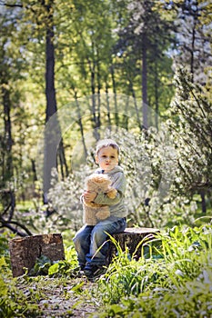 A cute boy is playing with a bear cub in the forest. The sun`s rays envelop the space of the clearing with a stump. A magical