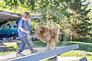 cute boy playing with his dog Golden Retriever outdoors