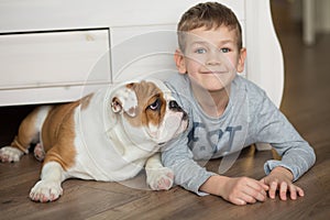 Cute boy plays on the floor on a carpet with puppies of English bulldog