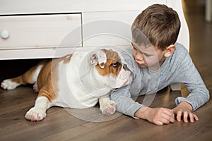 Cute boy plays on the floor on a carpet with puppies of English bulldog