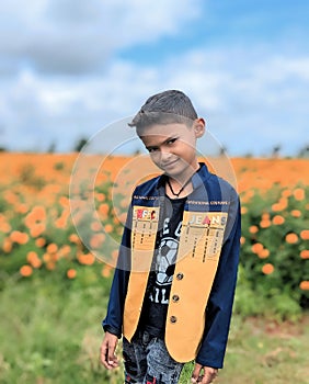 Cute Boy Portrait in the flower field